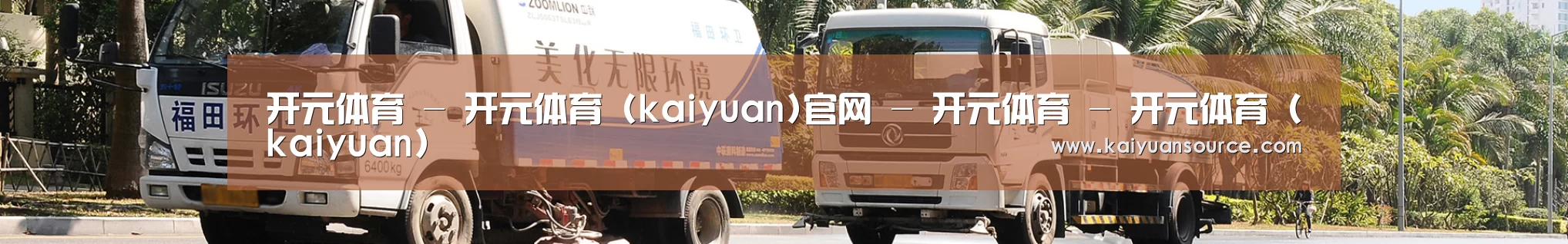 武汉市案例